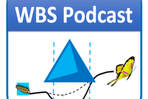 E8 – WBSPodcast.com – Strategy and Thriving in “The Storms of Chaos”