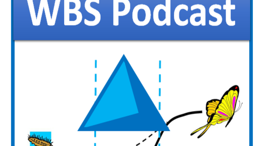 E9 – WBSPodcast.com – The Drivers of Change – Understanding Secondary Changes